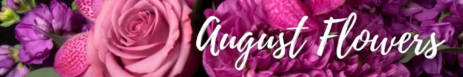 august flower banner